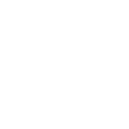 LIU Brooklyn Logo