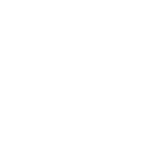 Birth of a Dream Logo
